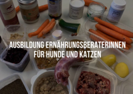 Ernährungsberater für Hunde und Katzen