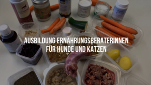 Ernährungsberater für Hunde und Katzen