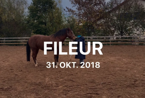 Fileur31.10.2018