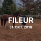 Fileur31.10.2018