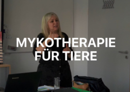 Mykotherapie in der Veterinärmedizin Seminar