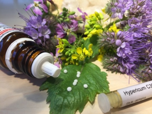 Homöopathie - Basiswissen