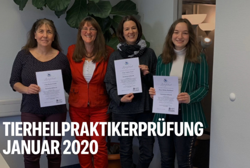 Tierheilpraktikerprüfung Januar 2020