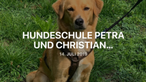 Praktikum Hundeschule 2019