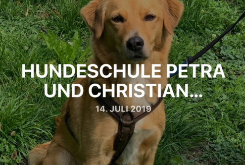 Praktikum Hundeschule 2019