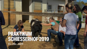Praktikum Schiesserhof 2019