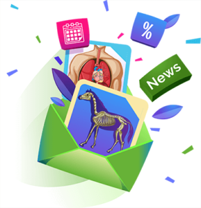 Newsletter Anmeldung Banner